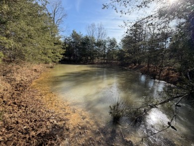 3+ acre building lot near Moutardier Marina - photo 9