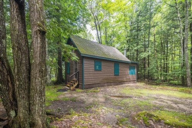 (private lake, pond, creek) Home For Sale in Hartford Maine