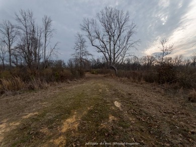 This 108+/- acre hunting and recreational property, located just - photo 26