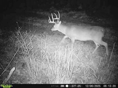 This 108+/- acre hunting and recreational property, located just - photo 28