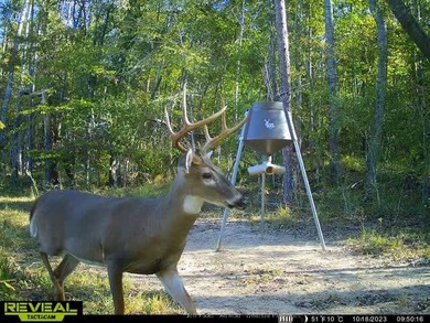 This 108+/- acre hunting and recreational property, located just - photo 29