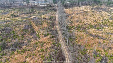 This 108+/- acre hunting and recreational property, located just - photo 34