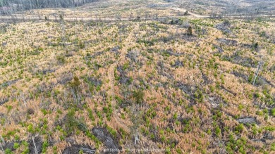 This 108+/- acre hunting and recreational property, located just - photo 35
