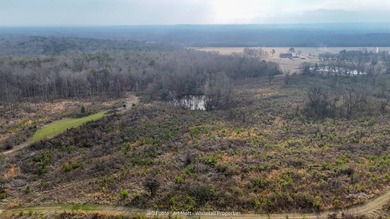 This 108+/- acre hunting and recreational property, located just - photo 38