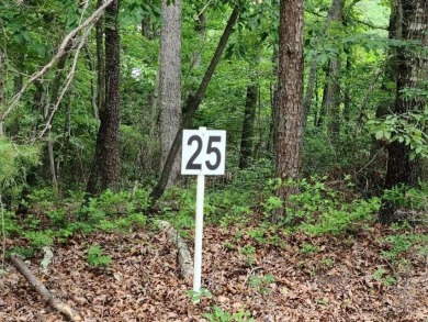 Smith Mountain Lake Lot For Sale in Union Hall Virginia