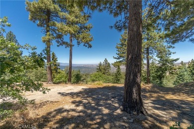 33163 Holcomb Creek - photo 43