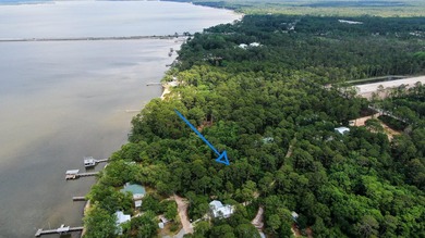 Large lot 0.64-acre one tier off the bay to build up and should - photo 4