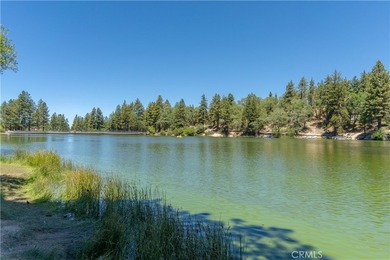 33163 Holcomb Creek - photo 45