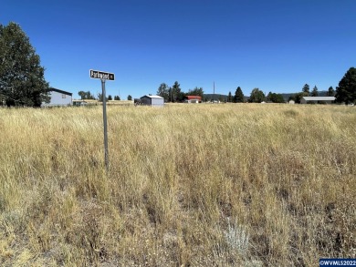 Agency Lake Lot For Sale in Chiloquin Oregon