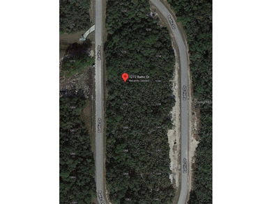 Lake Marion - Polk County Lot For Sale in Poinciana Florida