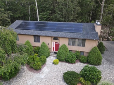 Lake Home For Sale in Rock Hill, New York