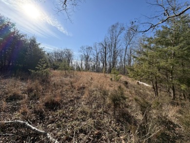 3+ acre building lot near Moutardier Marina - photo 4