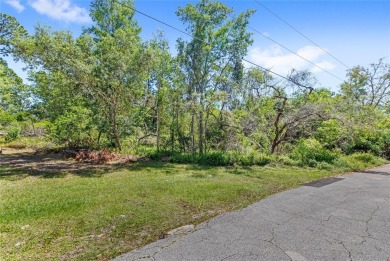 Lake Lot For Sale in Deltona, Florida