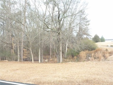 Check out this truly unique lot in Chickasaw Point. This lot is - photo 2