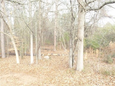 Check out this truly unique lot in Chickasaw Point. This lot is - photo 3
