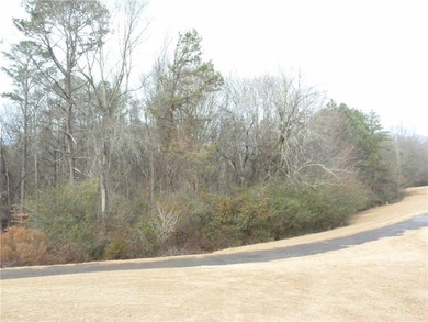 Check out this truly unique lot in Chickasaw Point. This lot is - photo 4