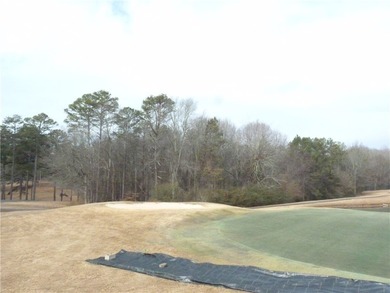 Check out this truly unique lot in Chickasaw Point. This lot is - photo 6