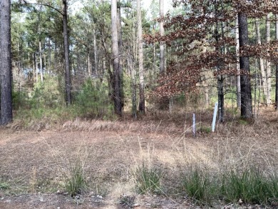 BEAUTIFUL OFF WATER LOT - Lake Lot For Sale in Pachuta, Mississippi