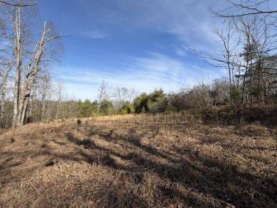 3+ acre building lot near Moutardier Marina - photo 6
