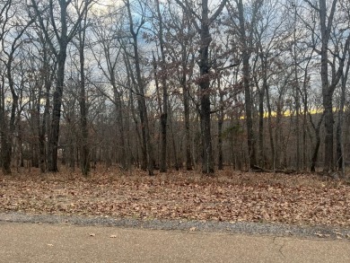 Lake of the Ozarks Lot For Sale in Warsaw Missouri
