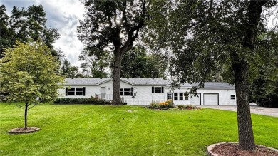 Smith Lake Home For Sale in Orange Twp Minnesota