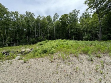 Situated in the Cathance Lake Shores Subdivision, this 2.03-acre - photo 5