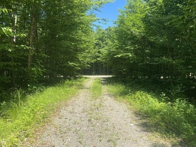 Situated in the Cathance Lake Shores Subdivision, this 2.03-acre - photo 7