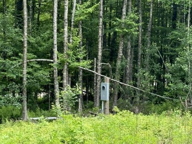 Situated in the Cathance Lake Shores Subdivision, this 2.03-acre - photo 8