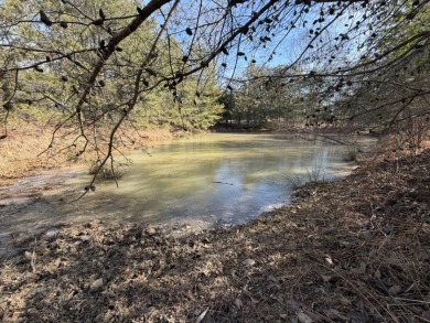 3+ acre building lot near Moutardier Marina - photo 10