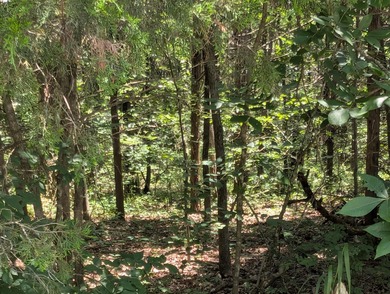 Table Rock Lake Lot For Sale in Shell Knob Missouri