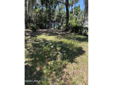 Beautiful lot in Pidgeon Point close to the park and community - photo 1