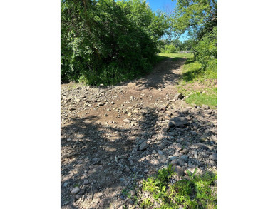 This approximately 40 acres would make the ideal hunting setup - photo 3