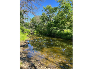 This approximately 40 acres would make the ideal hunting setup - photo 4