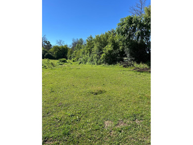 This approximately 40 acres would make the ideal hunting setup - photo 5