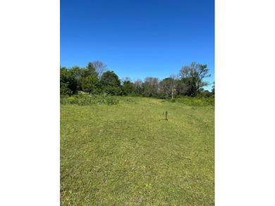 This approximately 40 acres would make the ideal hunting setup - photo 6