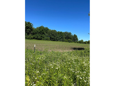 This approximately 40 acres would make the ideal hunting setup - photo 10