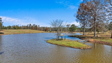 Welcome to one of the most extraordinary land offerings in the - photo 15