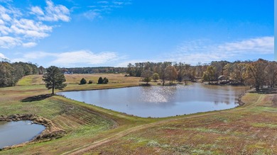 Welcome to one of the most extraordinary land offerings in the - photo 17