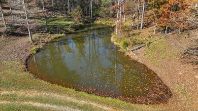 Welcome to one of the most extraordinary land offerings in the - photo 24