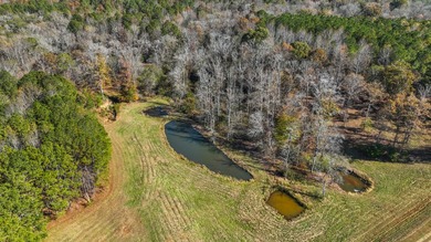 Welcome to one of the most extraordinary land offerings in the - photo 39