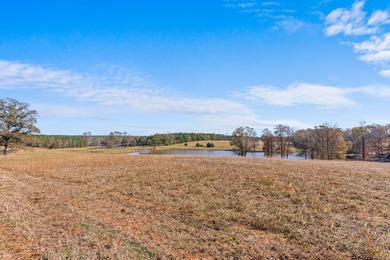 Welcome to one of the most extraordinary land offerings in the - photo 40