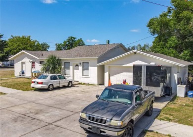 Lake Townhome/Townhouse For Sale in Eustis, Florida