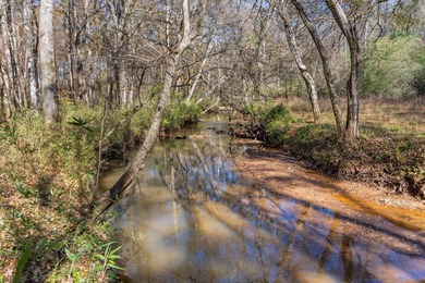 Welcome to one of the most extraordinary land offerings in the - photo 42