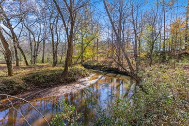 Welcome to one of the most extraordinary land offerings in the - photo 43