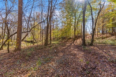 Welcome to one of the most extraordinary land offerings in the - photo 44