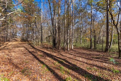 Welcome to one of the most extraordinary land offerings in the - photo 45