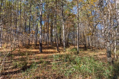 Welcome to one of the most extraordinary land offerings in the - photo 46