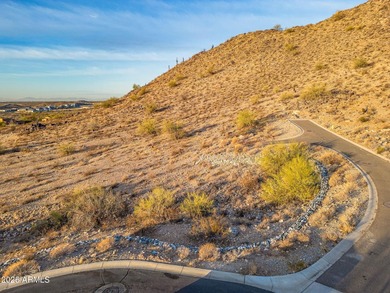 Exclusive Custom Homesite in Verrado's Prestigious custom home - photo 19
