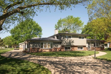 Lake Marie - Will County Home For Sale in Naperville Illinois
