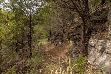 Discover 1,190 contiguous acres on the edge of the Buffalo River - photo 37